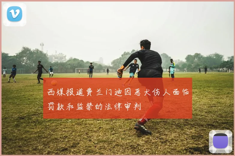 西媒报道费兰门迪因恶犬伤人面临罚款和监禁的法律审判
