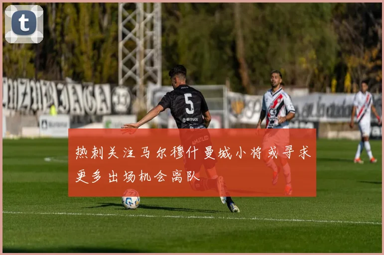 热刺关注马尔穆什曼城小将或寻求更多出场机会离队